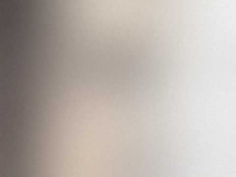 Stop me, I'm a thief- Mark Adam Ritter