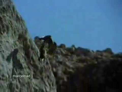 Eagle Hunting A Goat