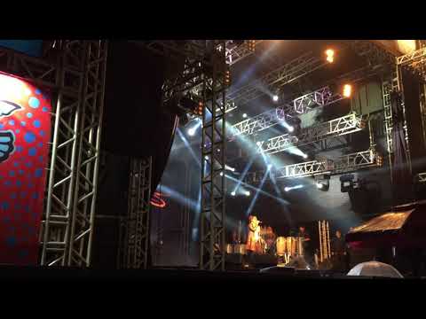 FIG - 2017 - Alice Caymmi