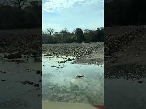 Al ingreso del impresionante bosque seco de Zapotillo Loja Ecuador 🇪🇨
