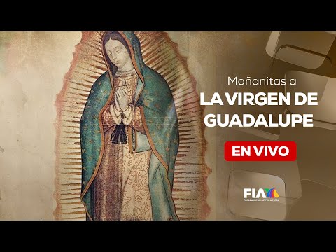 #Envivo | Las mañanitas a La Virgen de Guadalupe desde la Basílica; millones muestran su fe
