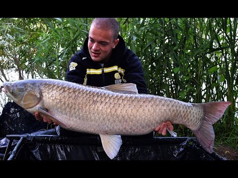 SBS Carp fishing - A sikerhez vezető út