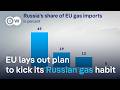EU Energy Chief Vows Ban On All Russian Gas Imports By 2028 DW News