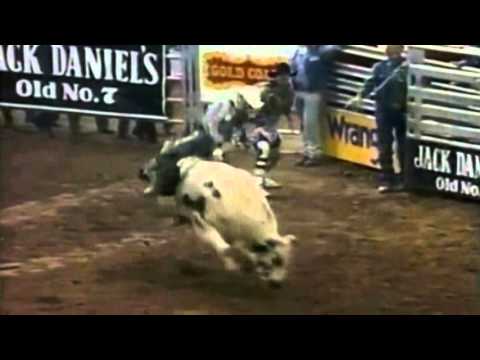 PBR ADRIANO MORAES - THE BRAZILIAN LEGEND