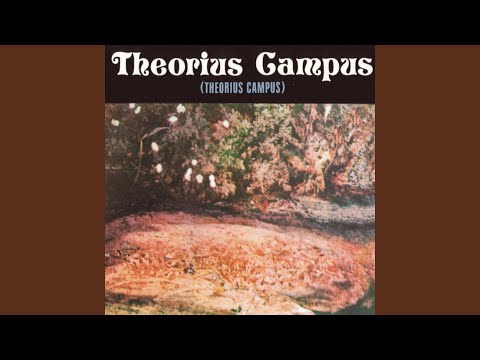 video frame placeholder