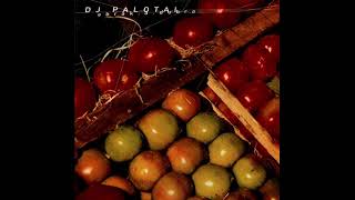 DJ PALOTAI – abrak.a.dubra [UGAR CD012-2]