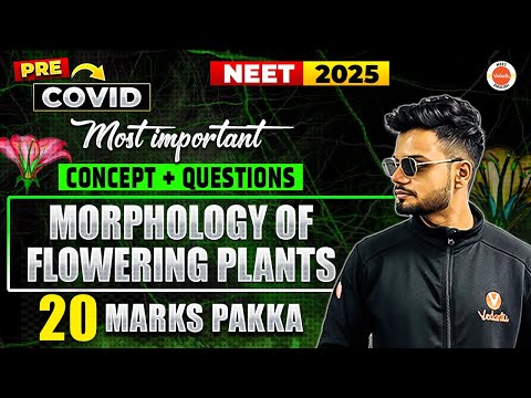Morphology of Flowering Plants | most Important Quest + Concp |Unit 20+ Marks Pakka | Basavaraj Sir