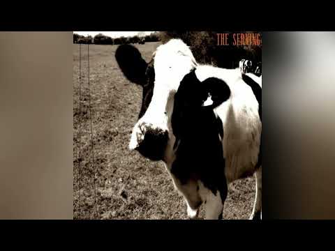 Video thumbnail for ‌the serving