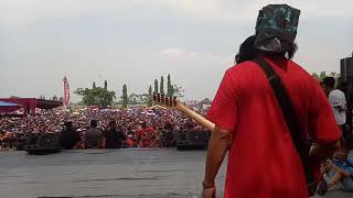 Download lagu bimbang eri susan whit new pallapa asik nda mp3