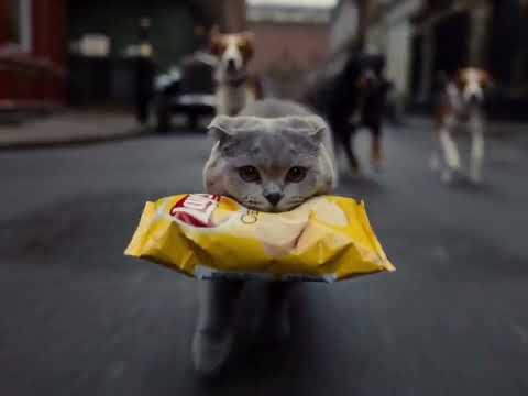 LAYS