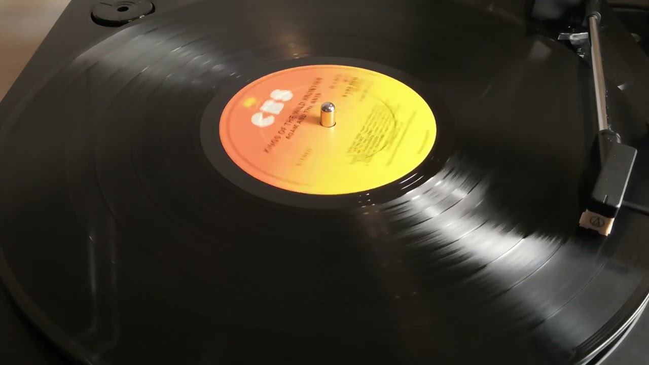 Adam and the Ants - Antmusic (1980 Vinyl LP)