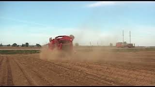 В Боханском и нашем Усольском районах с 27 августа введен режим ЧС