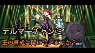 ウマ娘　デルマーチャンミ最終調整