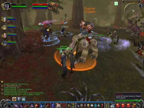 The Battle For Western Plaguelands - Two Rival PVP Guilds Clash in WoW Vanilla