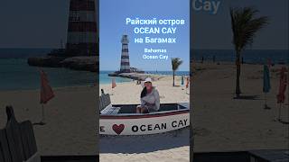 Райский остров OCEAN CAY на Багамах #oceancay #bahamas #umarkeyn #mscdivina #cruise #4k