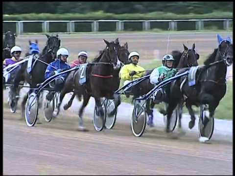 Trotto 23/10/2014 - 4° corsa