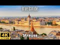 Strauss The Blue Danube Waltz 4K