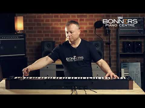 Stunning Casio Digital Stage Piano PSX6000 - Image 2