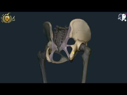 Patologia articolare CIM 10 Osteocondrosi male a respirare