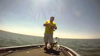 Soft Bait Videos