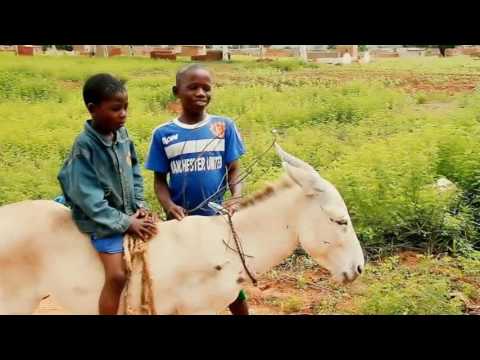 Clip lélé lougou Album Zang weni de Awetou