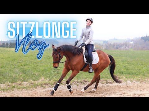 SITZLONGE MIT ORIGINALTON!