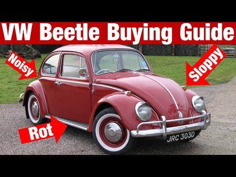 How To Buy A Classic VW Beetle | Everything You Need To Know!
