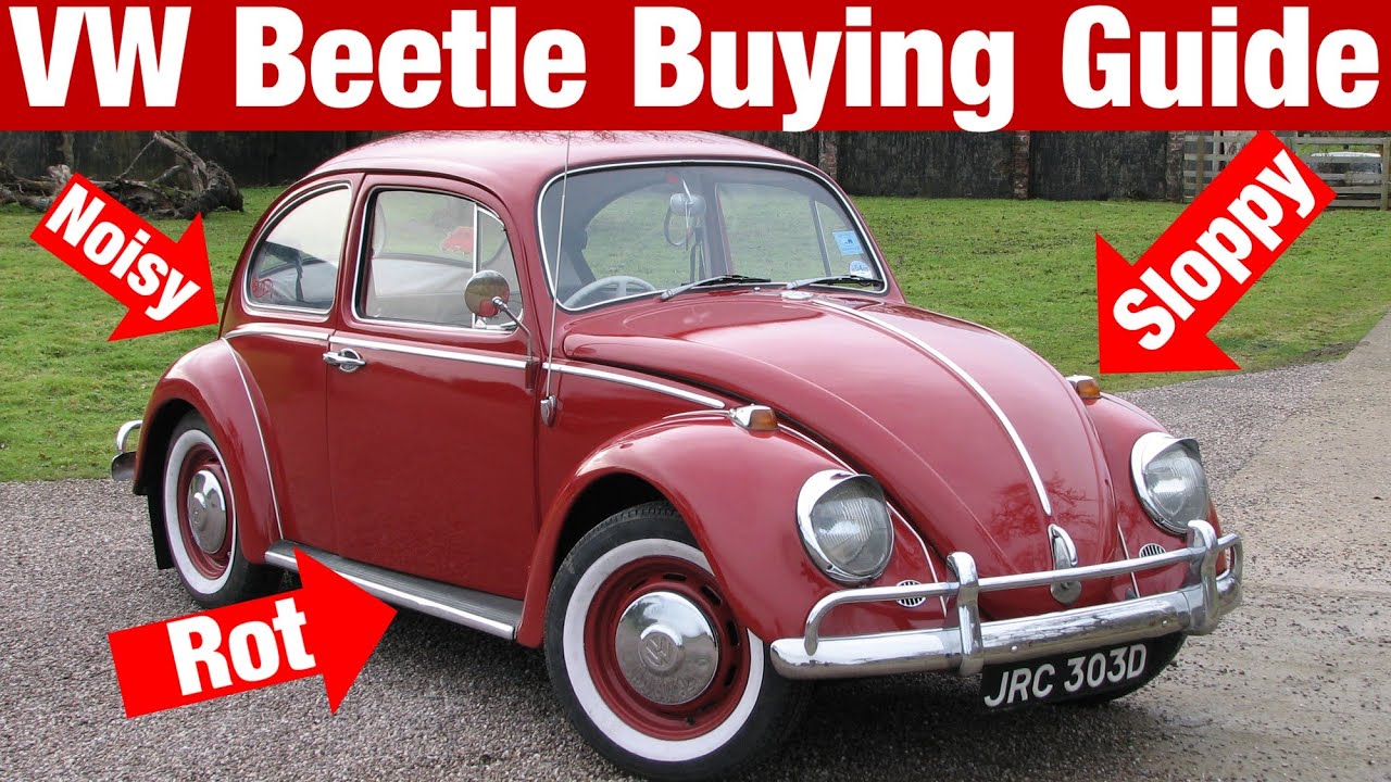 How To Buy A Classic VW Beetle | Everything You Need To Know!