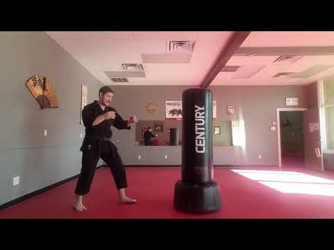Mawashi-Geri Penetration Drill