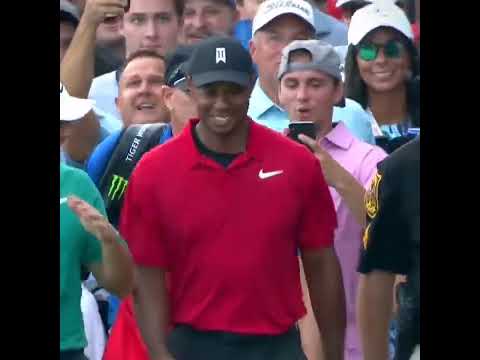Tiger Woods 2018 Tour championship comeback