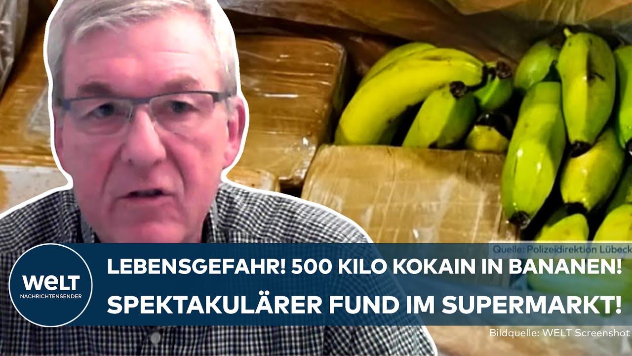 DROGEN IN EUROPA: Spektakulärer Bananenkisten-Fund! 500 Kilo Kokain im Supermarkt! Polizei am Limit