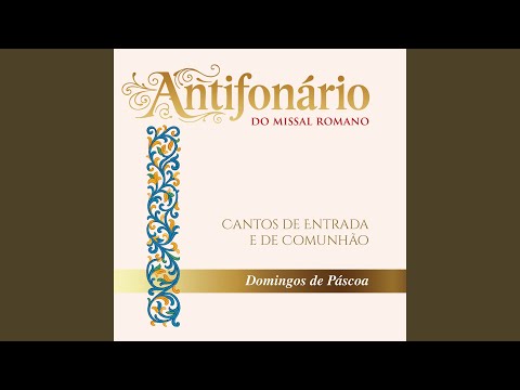 Comunhão do 2º Domingo da Páscoa - Põe a tua mão no lugar dos cravos