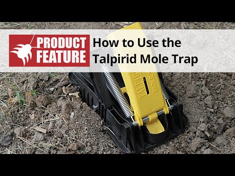  How to use the Talpirid Mole Trap Video 