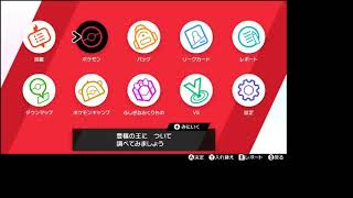 ポケモン剣盾　冠の雪原②