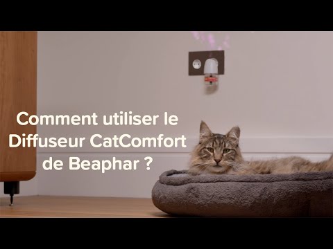 Beaphar Catcomfort Diffuseur Et Recharge Aux Phéromones Pour Chats Et Chatons