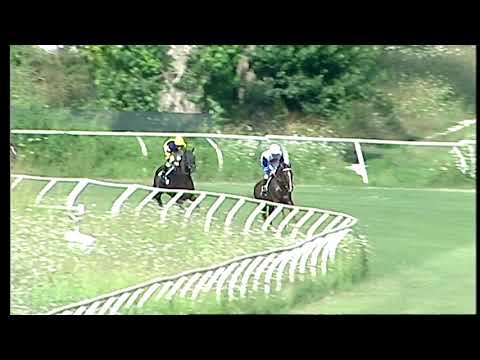 Napoli Galoppo 24/07/2021 - 1ª corsa