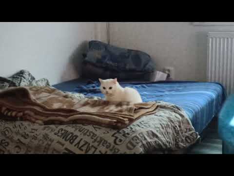 Dámy a pánové, přivítejte spisovatelku Christin James