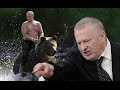 Жириновский жжёт, Путин "Император" remix (MC Wolf) 