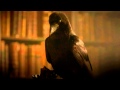 JONATHAN STRANGE AND MR NORRELL: Raven Teaser.