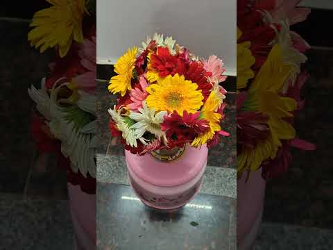 colourful daisy flowers 💐🌹