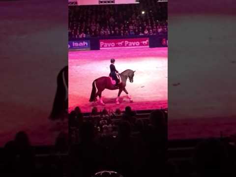 Valegro farewell at KWPN Stallion Show 2017