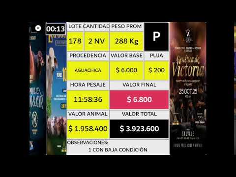 SUBASTA ESPECIAL ELITES DEL CESAR- AGUACHICA # 362