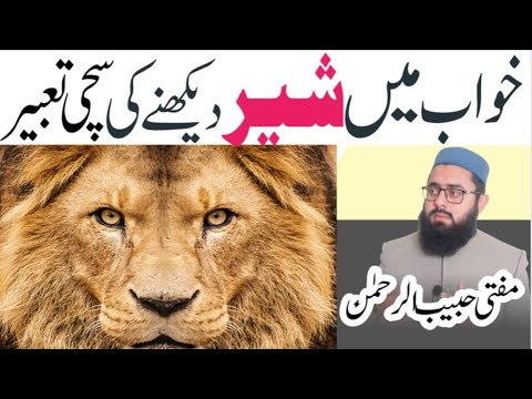 Khwab mein sher dekhna | Lion in dream interpretation | khwab mein sher dekhne ki tabeer |