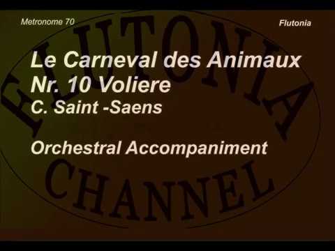 Tempo 70 bpm, Orchestral Accompaniment for Flute Solo The Carnival of the animals, Voliere
