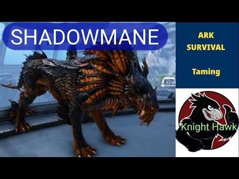 Tips for trapping and taming a Shadowmane