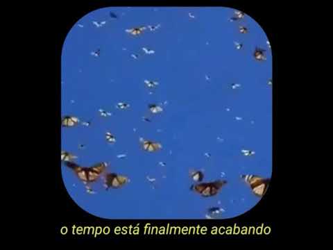 brolin - animal parade (tradução/legendado)💖
