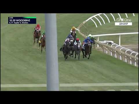 E. P. Taylor Stakes - Gruppe 1