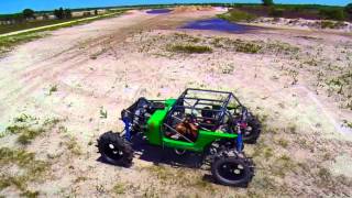 team animalistic at lazy sprigs