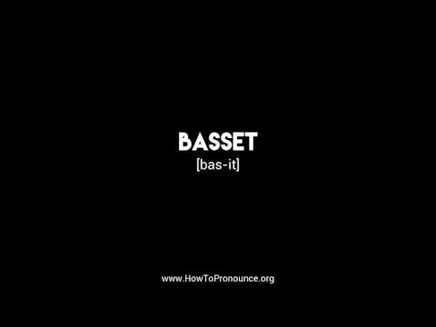 How to Pronounce "basset"
