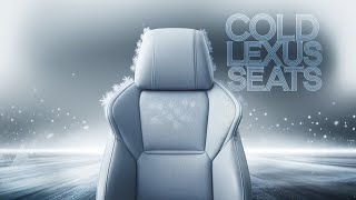 The Lexus Seat Cooling Crisis (and How to Fix It)